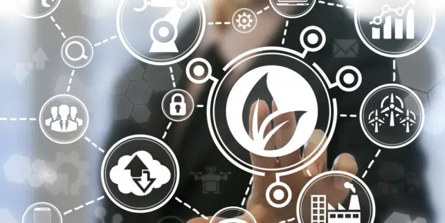 Shutterstock_533855509